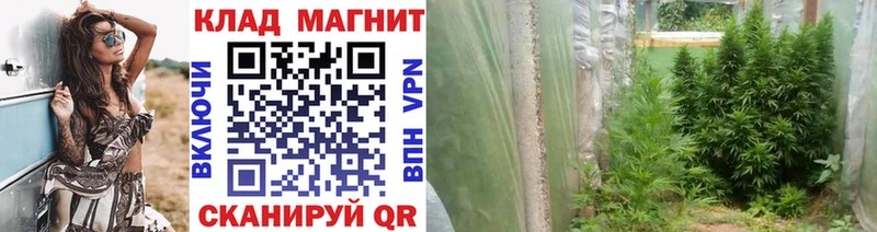 Где продают наркотики Вязьма АМФ Cocaine Гашиш МЕФ Канабис